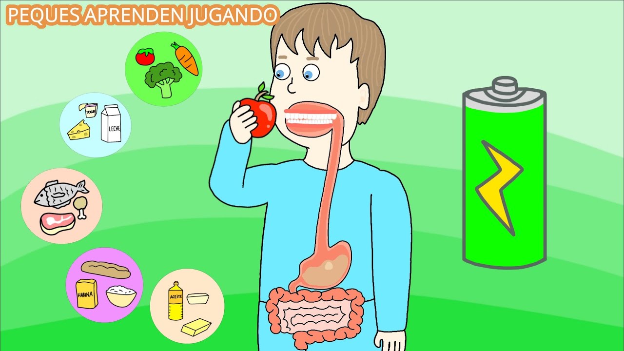 El sistema digestivo para niños. Video del aparato digestivo y sus partes. De PequesAprendenJugando