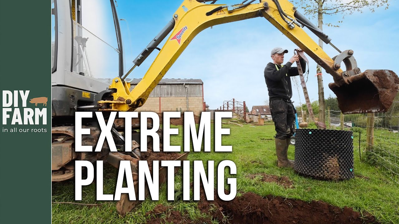 PLANTING TREES WITH A DIGGER! 🌳