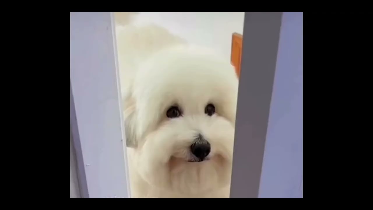 Is it ok if I touch you?
