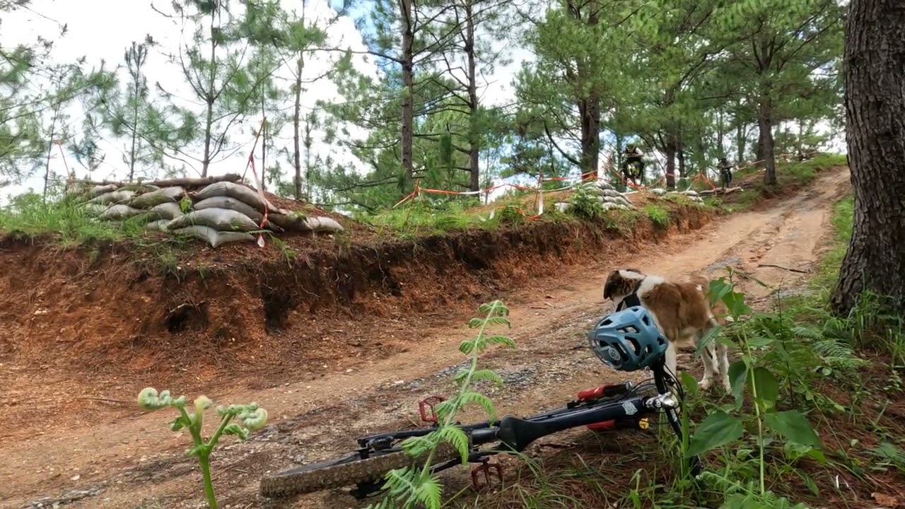Mt Camisong 1st gap