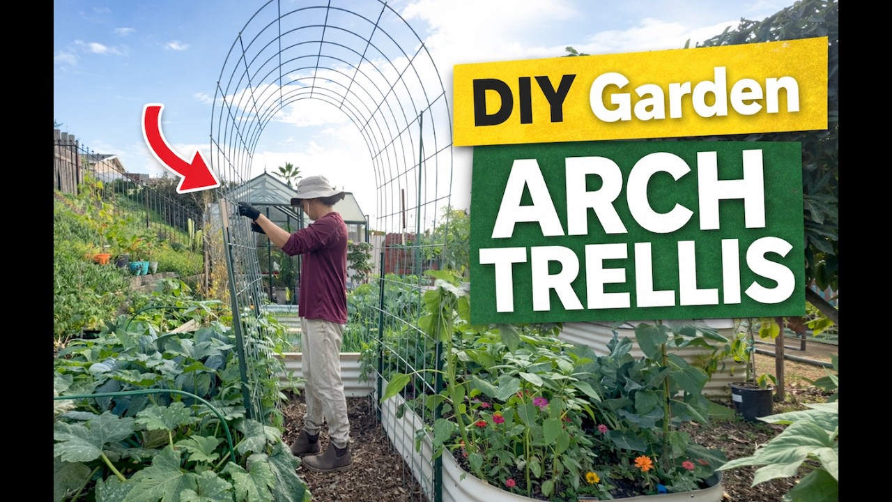 CHEAP and EASY garden trellis tutorial | Maximize your garden space. Grow vertically!
