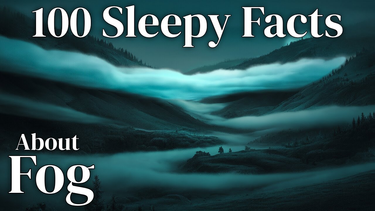 The Most Relaxing Facts About Fog | Meteorology for Sleep