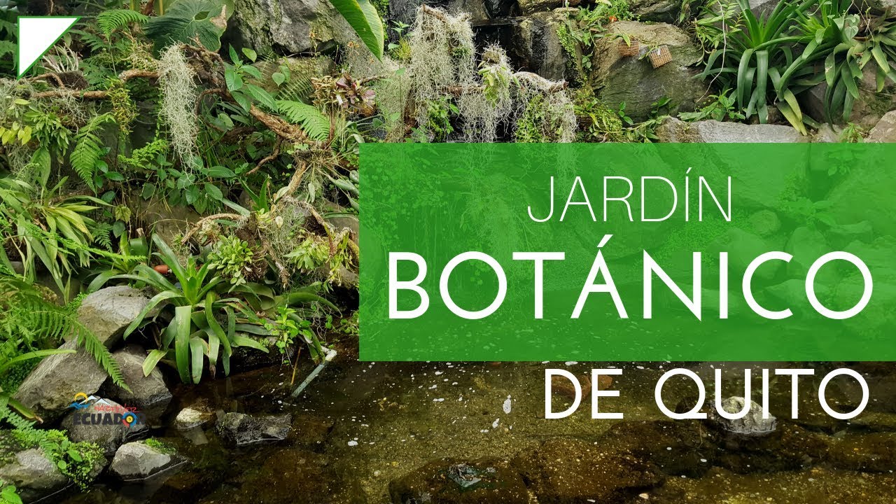 Así es el Jardín Botánico de Quito