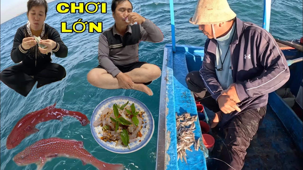 843 )ĐỂ HAI CON CÁ MÚ SAO RẤT CÓ GIÁ TRỊ, LÀM GỎI NHẬU…