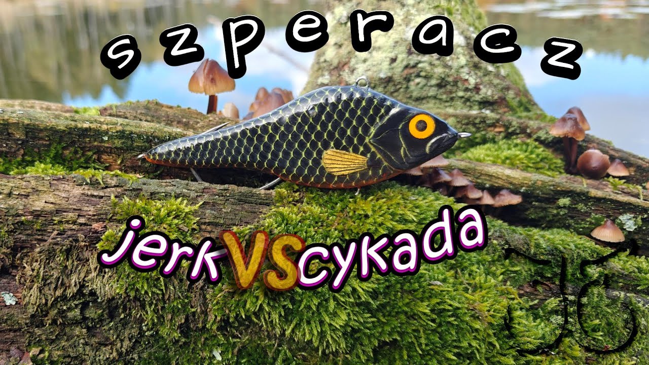 Przynęta do zadań specjalnych [CZ. 2 MATRYCA]