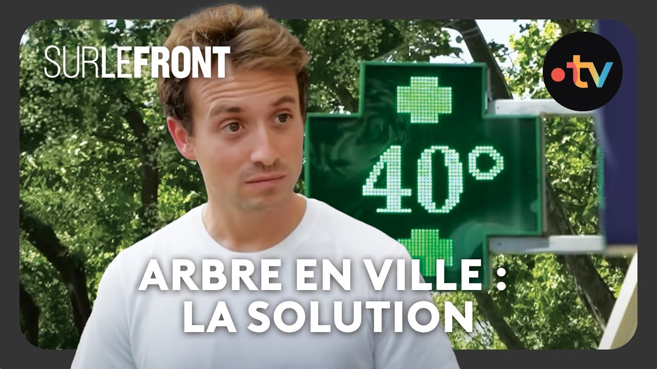 Les arbres en ville : meilleur moyen de se protéger de la canicule  - Sur le front avec Hugo Clément