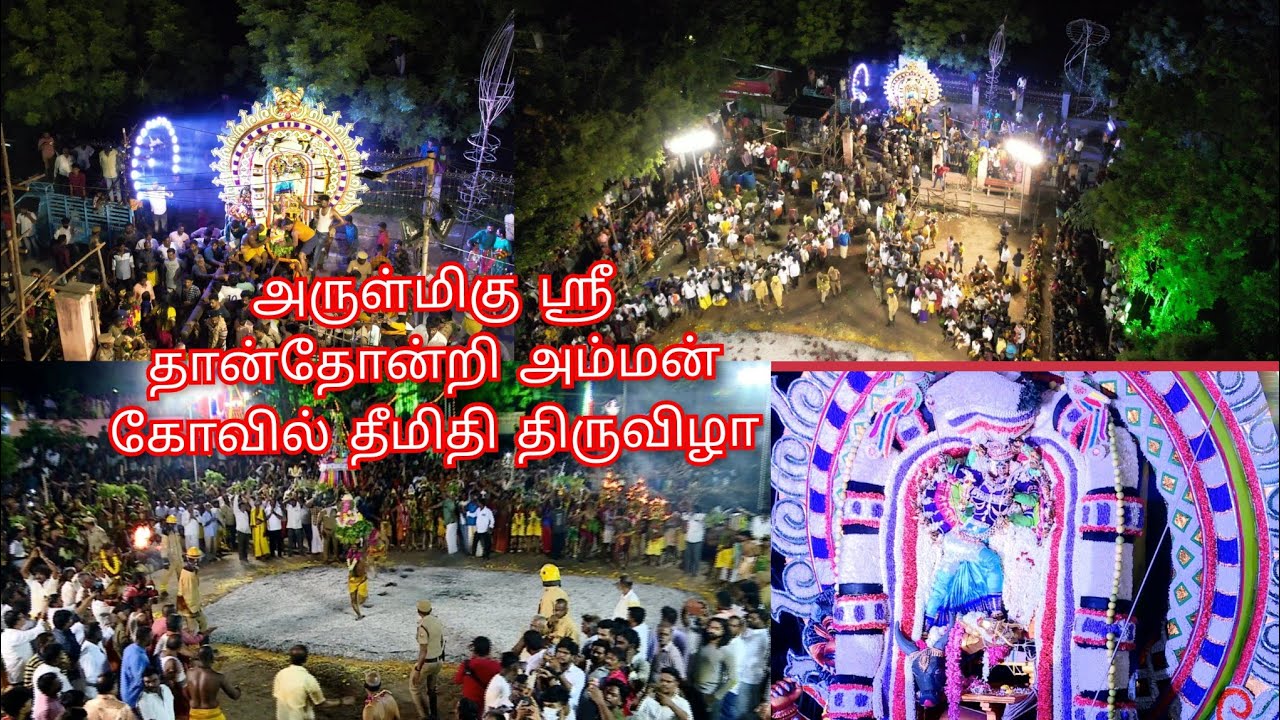 அருள்மிகு ஸ்ரீ தான்தோன்றி அம்மன் கோவில்  திருவிழா பெரவள்ளூர் | Arulmiku Sri Thanthontri Amman 2023