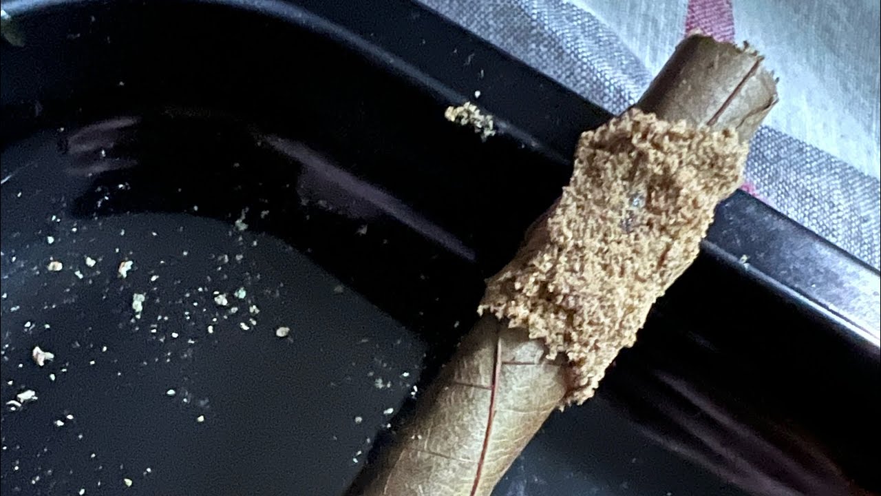 Making a cherry pie x sour diesel distillate x kief blunt
