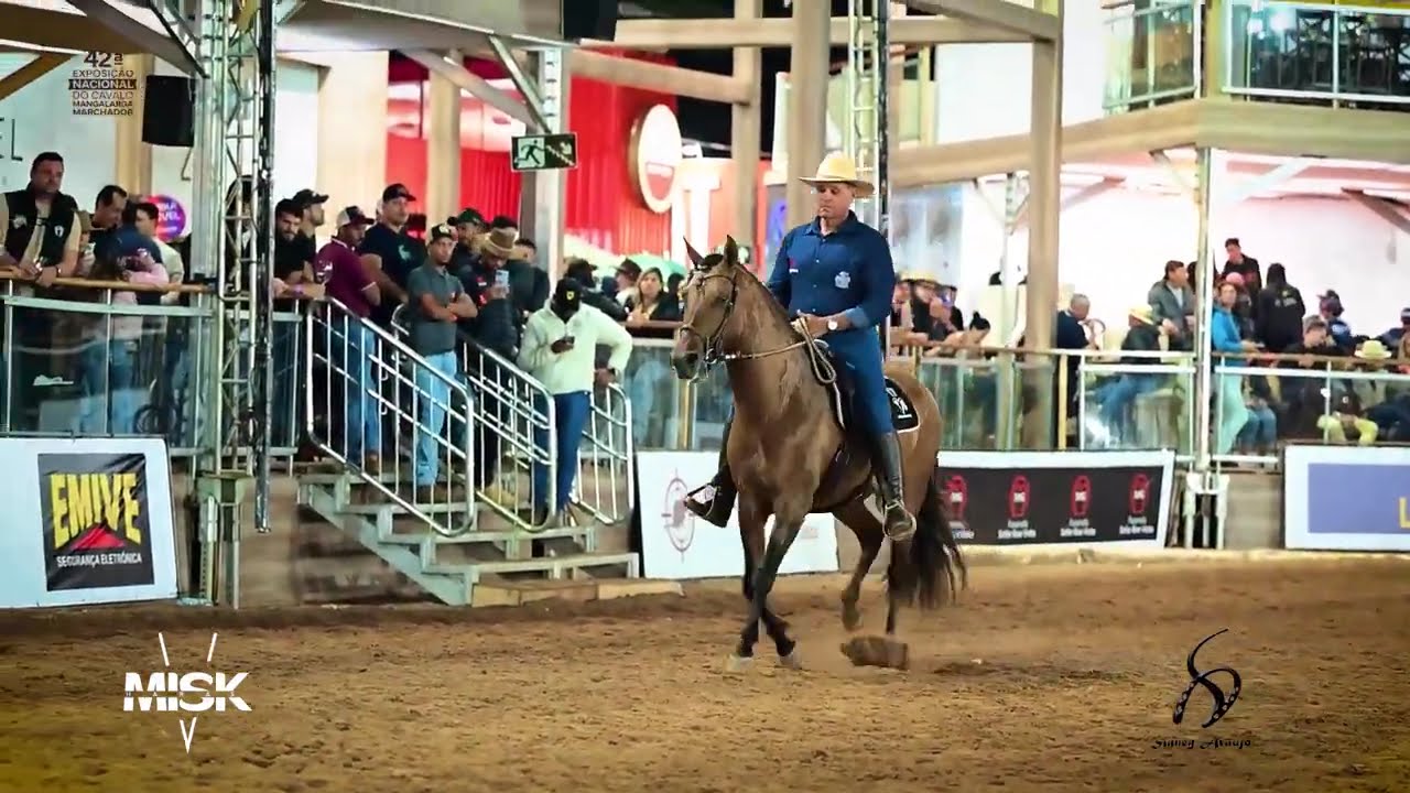 🏆  IRADO QC VB - Campe&atilde;o Nacional #marchapicada #cavalo #abccmm #cavalos #misk #mmtv #horse