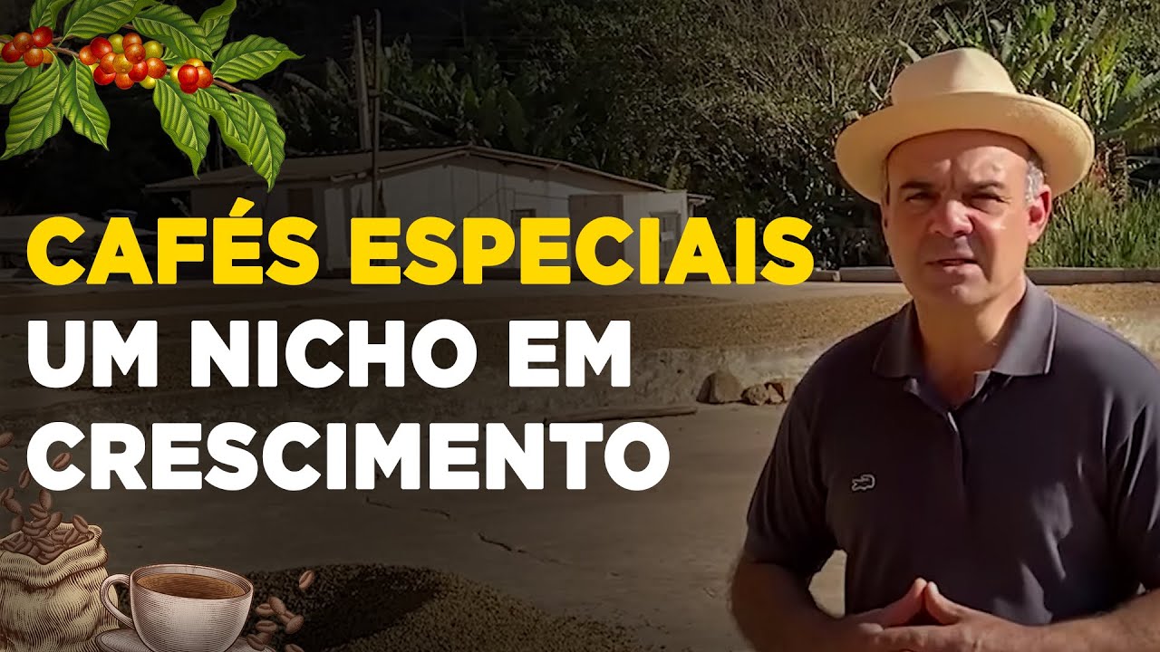 Entenda o Que Torna Um Café Especial e Como Produzir