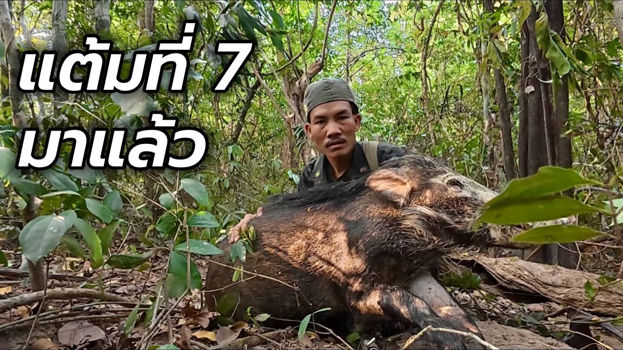 บักเหวอแต้มที่7มาแล้ีว/ບັກເຫວີແຕ້ມທີ່7ມາແລ້ວ