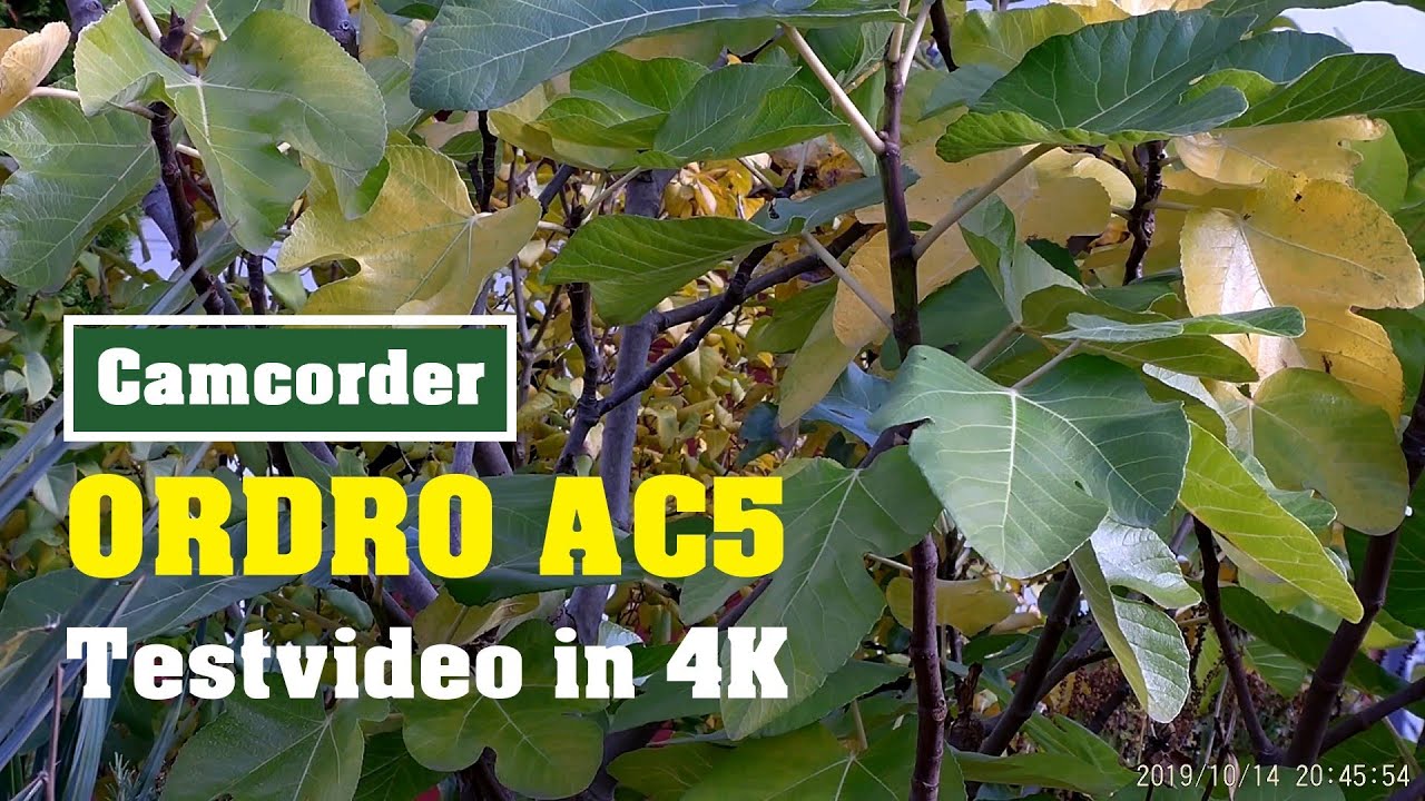 ORDRO AC5  -Testvideo 4K-  -Footage 4K-