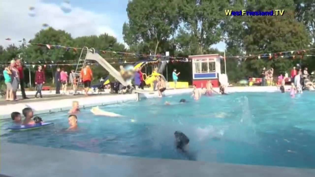 Honden zwemmen in Hoogkarspel