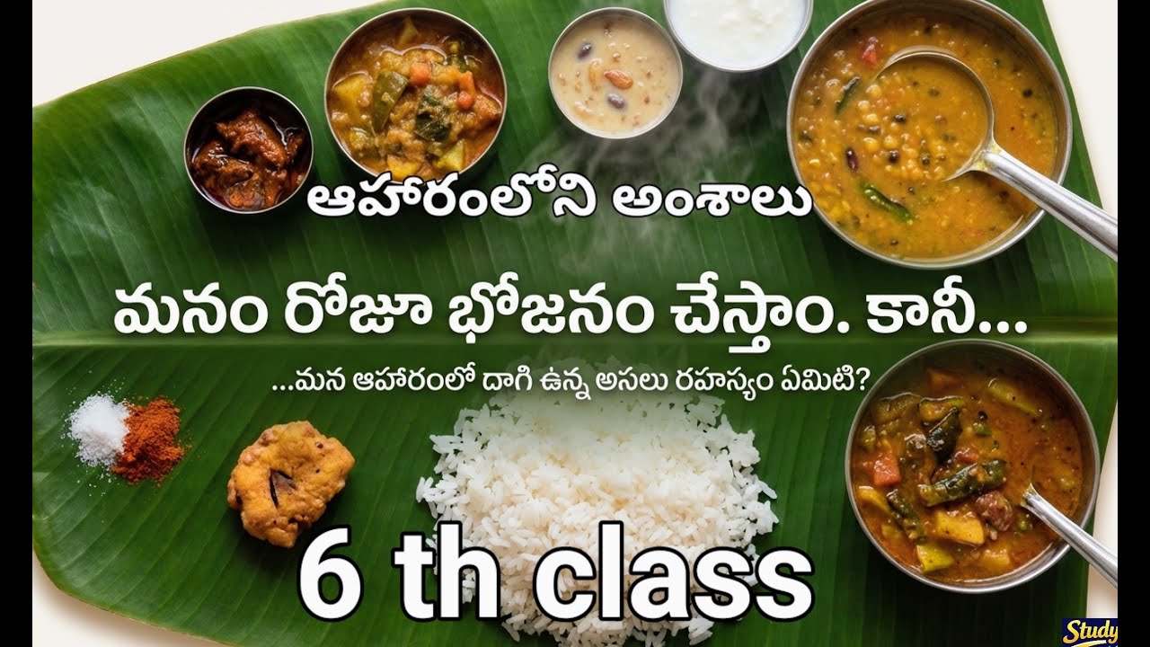 ఆహారంలోని అంశాలు | 6th class science | APDSC
