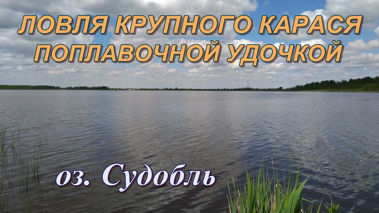 Ловля КРУПНОГО карася на поплавок | Озеро Судобль июнь 2020 | Рыбалка в Беларуси