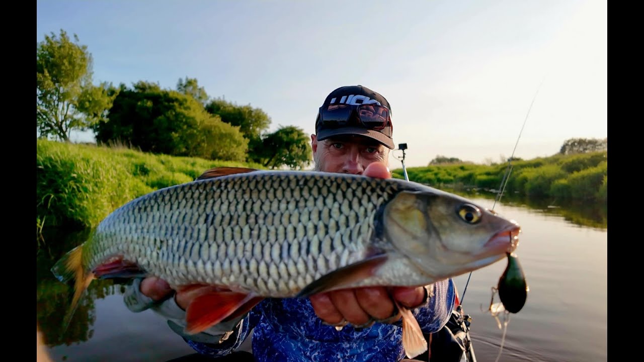 Mažų upių šapalai. Kur jų ieškoti