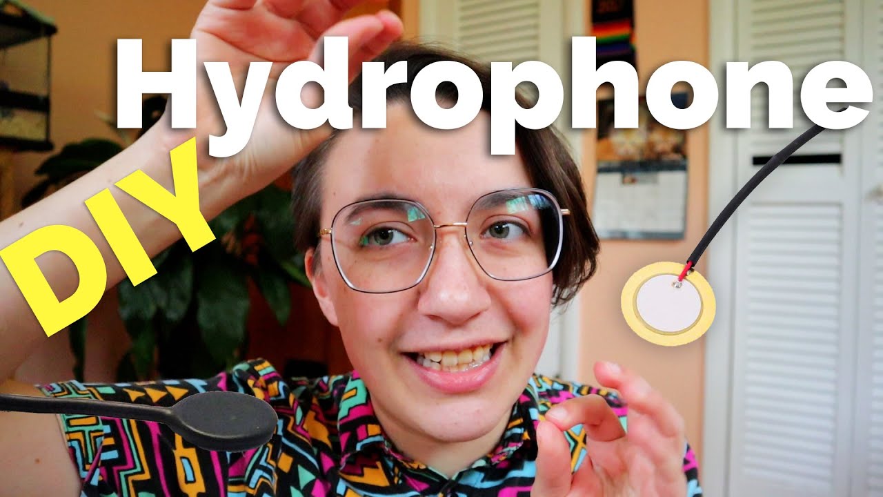 DIY Hydrophone Test