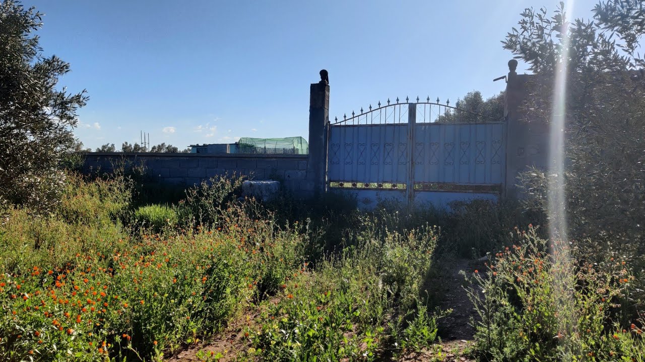 على الكودرون 🛣️ أرض محفظة بالرخصة البناء فيلا 🏡والبير جاهز والأشجار 🌲في بئر الببوش اقليم الجديدة 