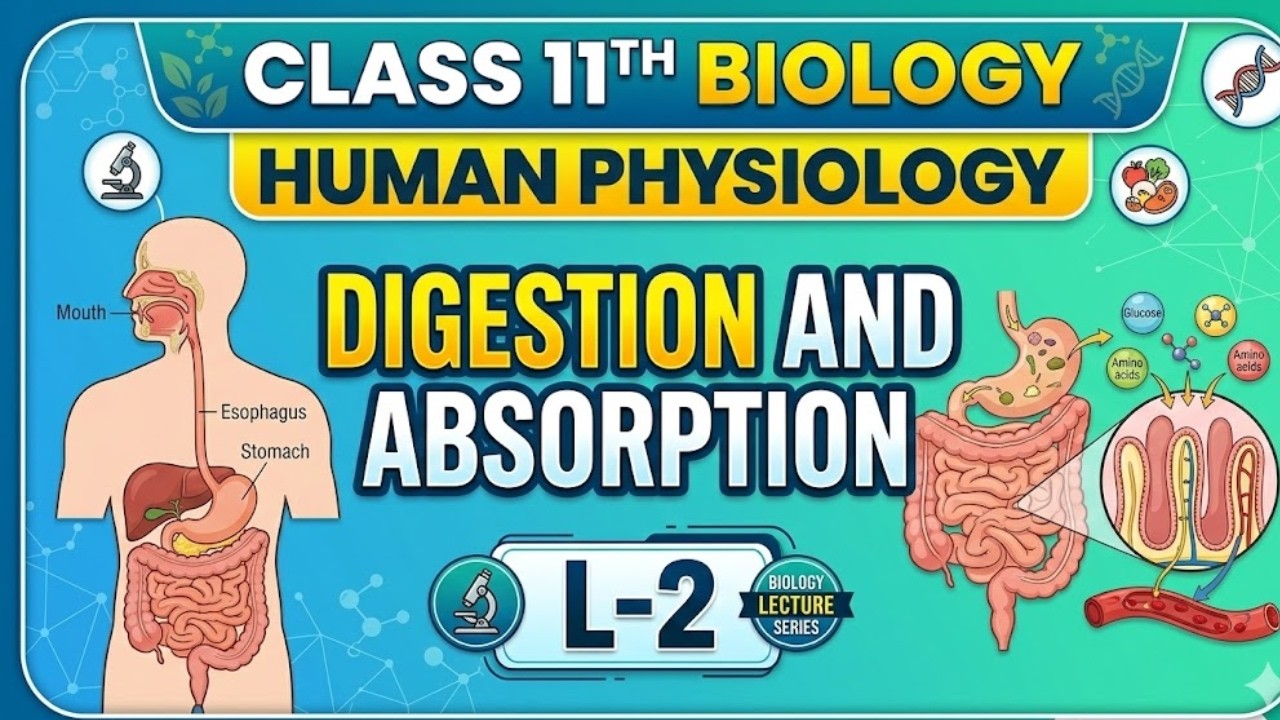 CLASS 11TH BIOLOGY | HUMAN PHYSIOLOGY I DIGESTION AND ABSORPTION I L-3