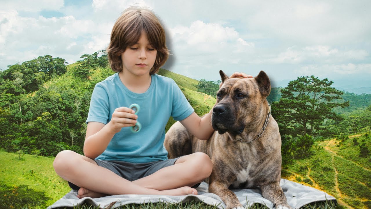 ¿Presas Canarios para autistas? Pues sí.