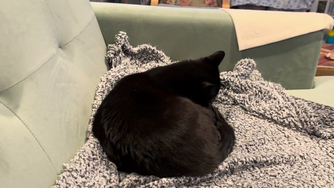 A bath and a nap
