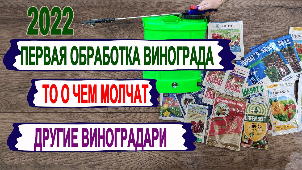 🍇 Первая ОБРАБОТКА ВИНОГРАДА от болезней. Это Вам не расскажут другие виноградари! Как/когда/сколько