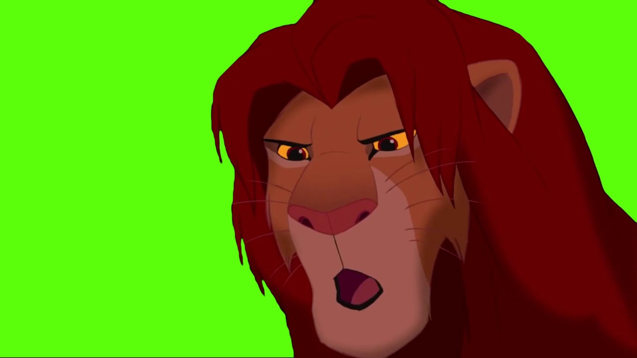 Simba Masks - Pack 1