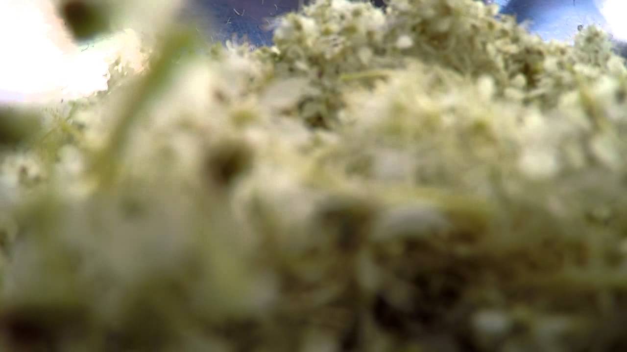 Meadowsweet Process