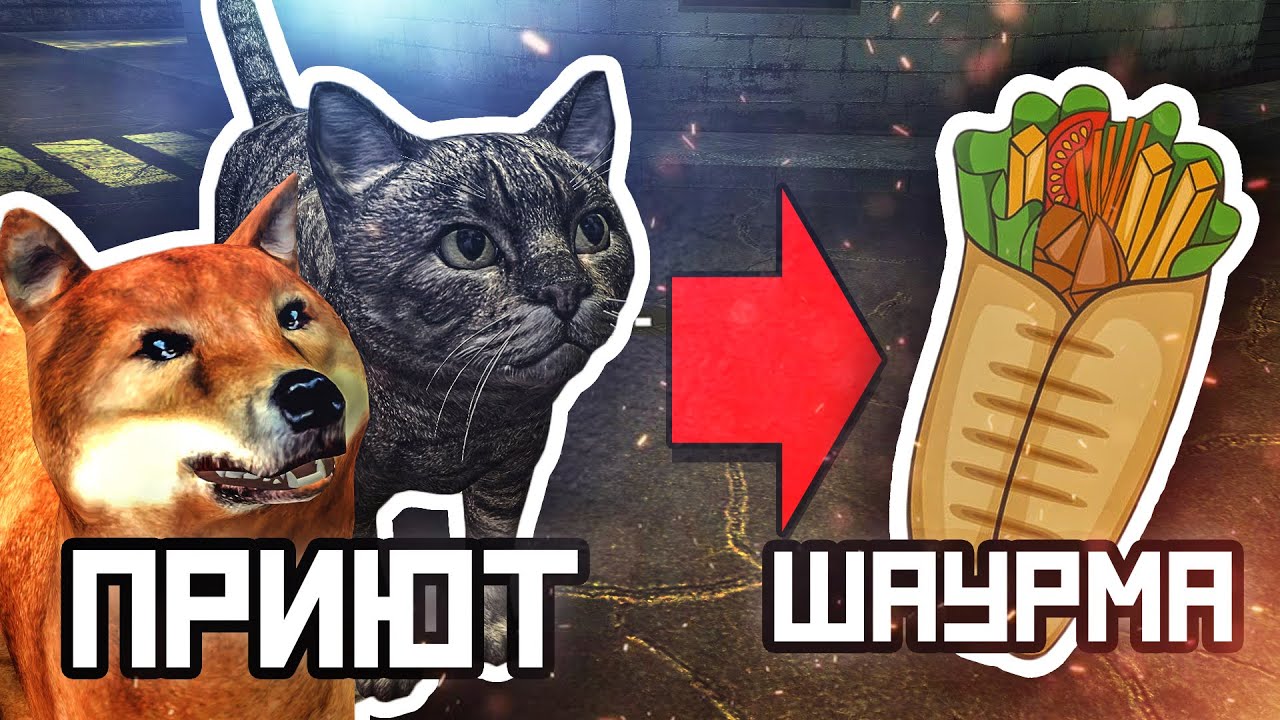 ПРИЮТ ДЛЯ ЖИВОТНЫХ И ШАУРМИЧНАЯ | Дарк РП будни Garry's mod FusionRP