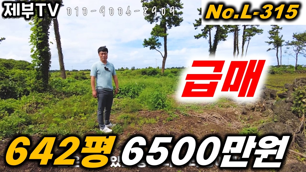 (급매) 손해 보고 팝니다 빨리 팔고 싶어요