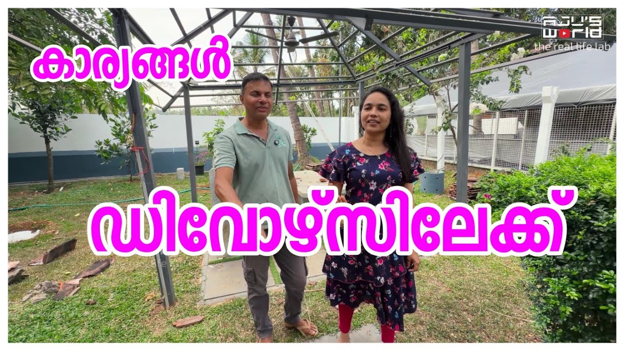 ഡിവോഴ്സ് ആകാൻ കാരണങ്ങൾ.../Family vlog /A day in my life /Snacks /cleaning 
