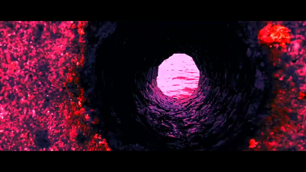 Teemantkilpkonn - pseudo bs