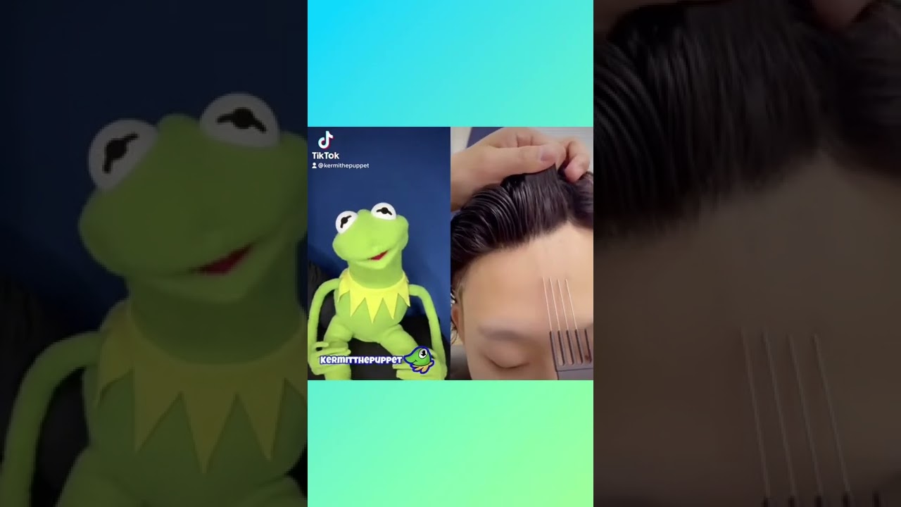Kermit The Frog Reacts To Hair Raising TIKTOK !!