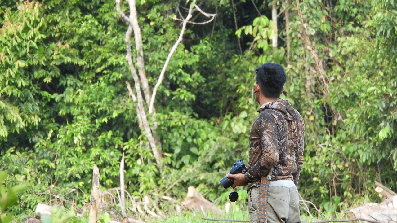 sungai utik