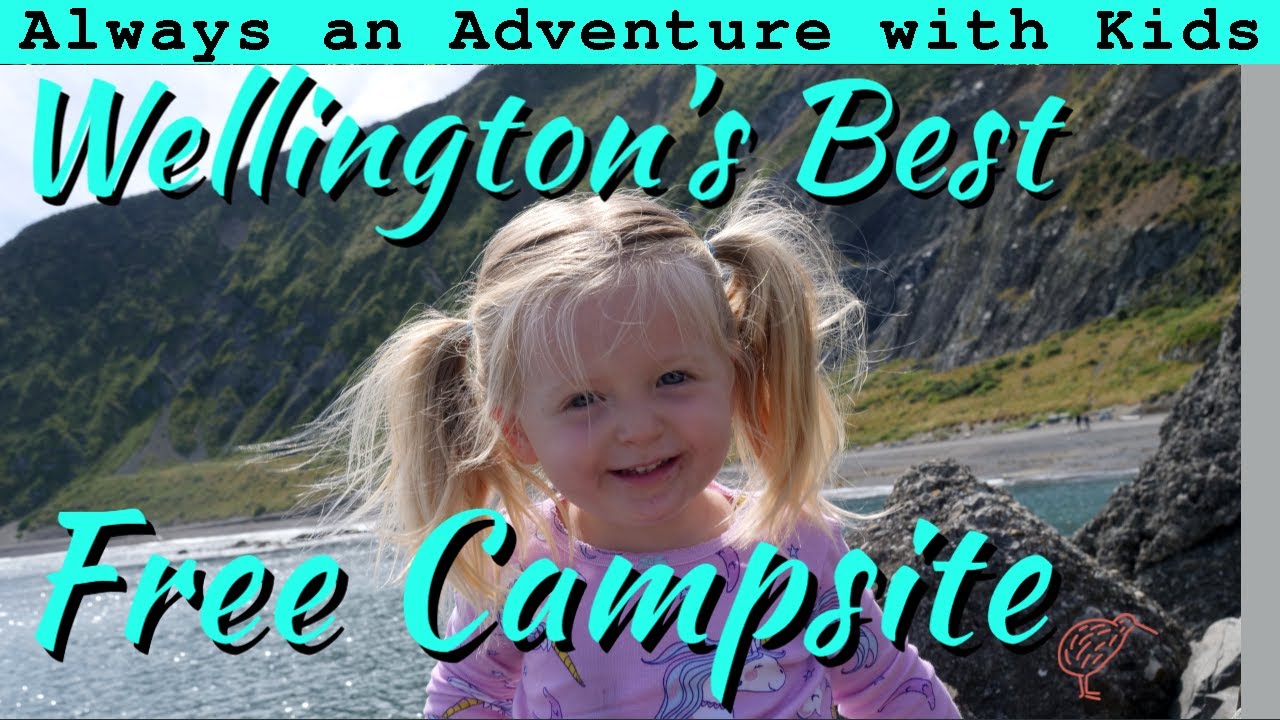 Best Campsite in Wellington | Red Rocks Walk | South Island Return S7 Ep2