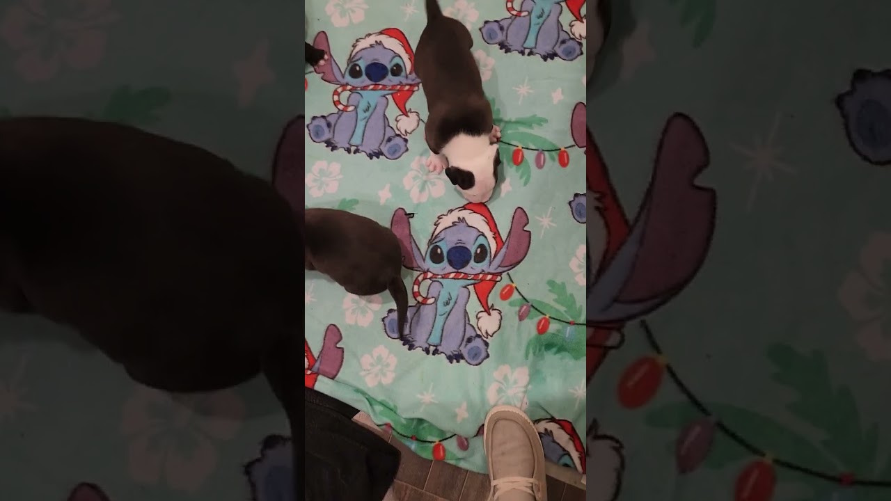 Mama Magnolia!