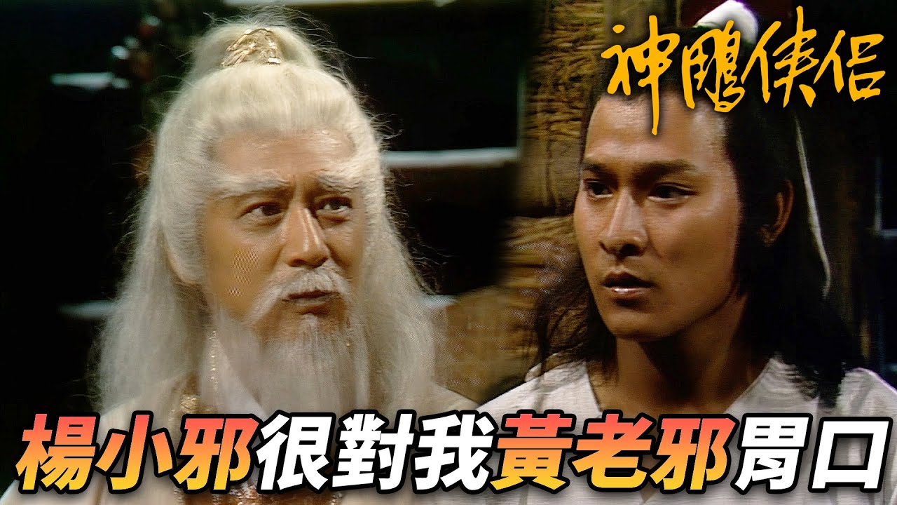 黃老邪被貼臉開大嘲諷！？楊過再次傍上新的大腿！這一次又有人替他撐腰！｜神鵰俠侶｜劉德華｜陳玉蓮｜梁家仁｜歐陽佩珊｜港劇精華