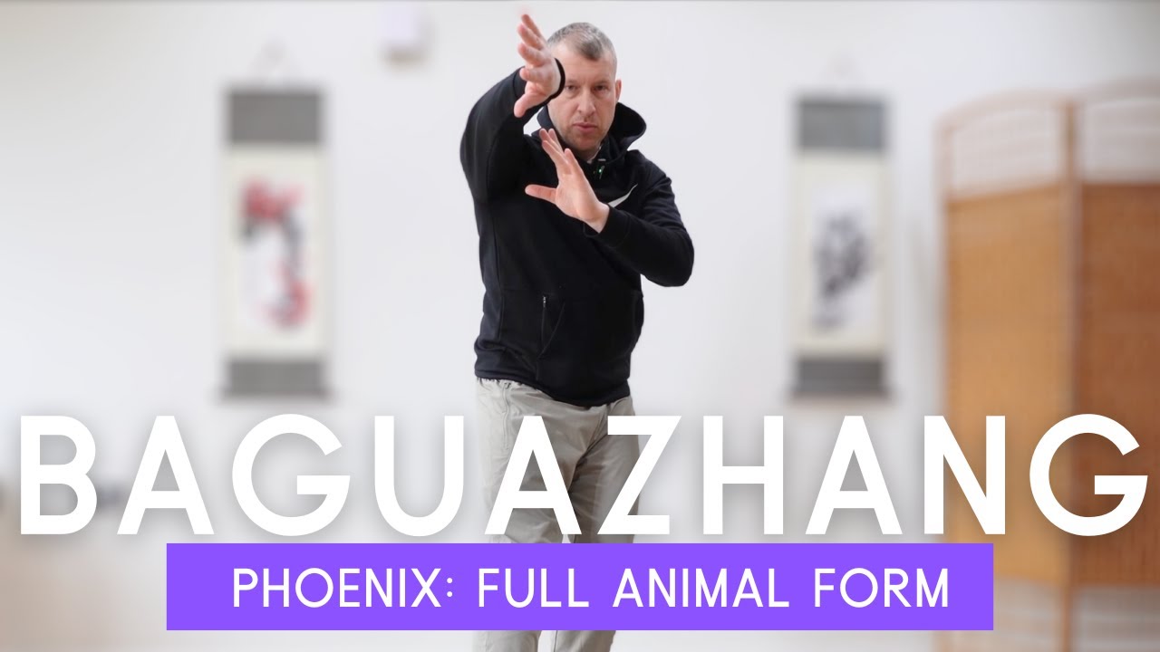 LEARN Baguazhang Phoenix Form