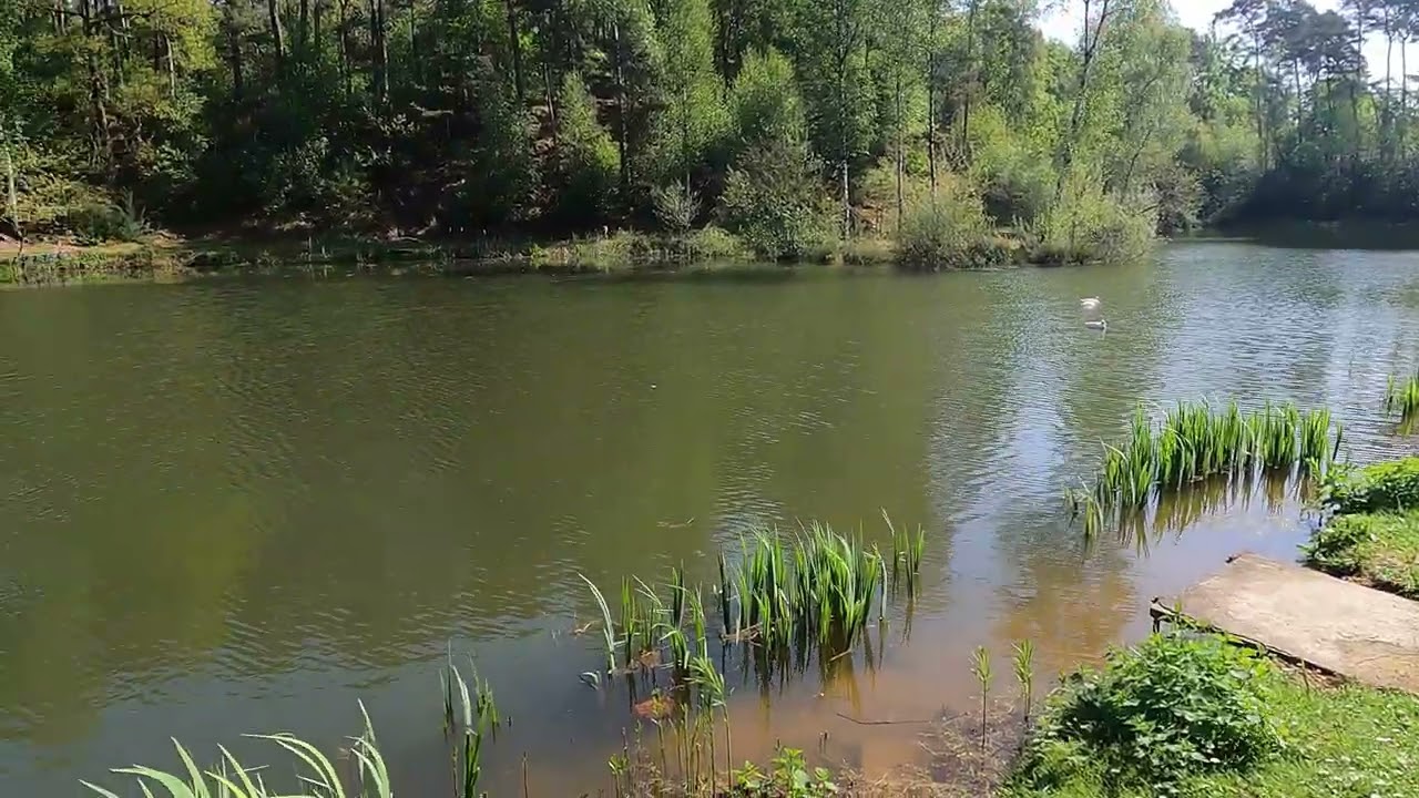 The lakes of Tudern