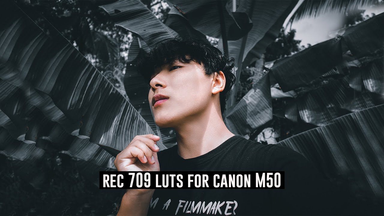 Rec 709 Luts for canon M50(cinestyle)