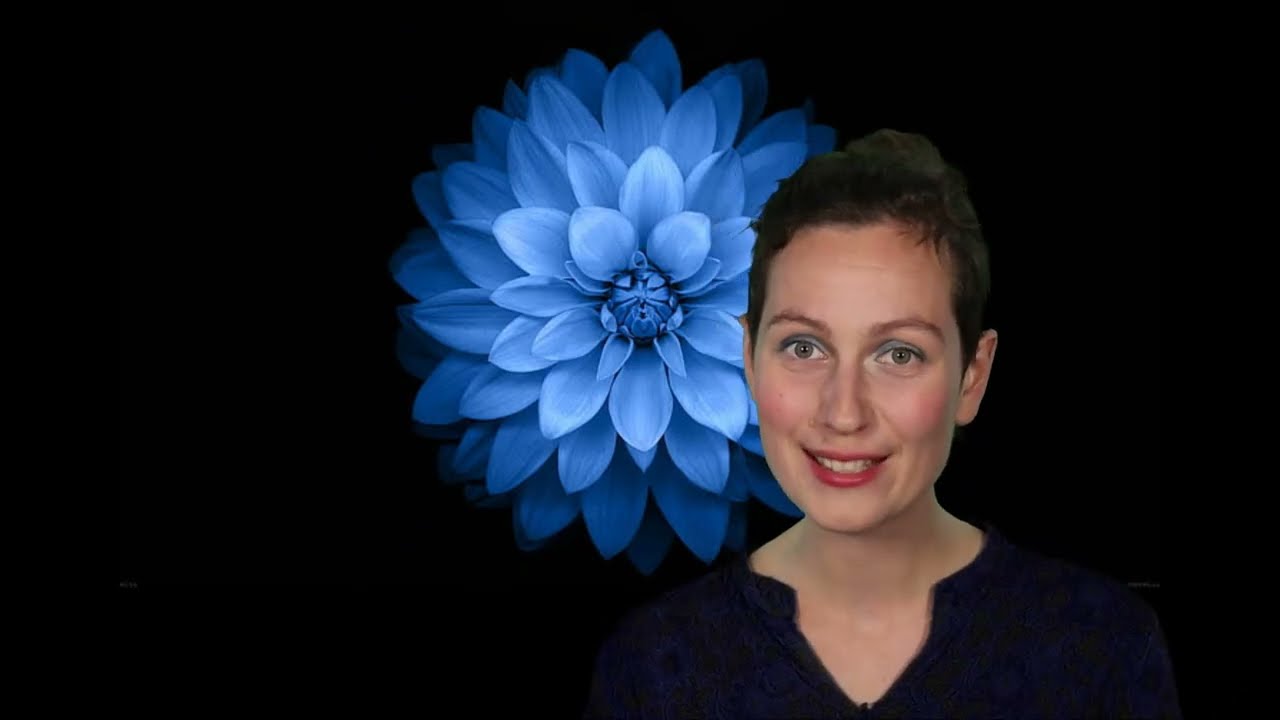 Holistic Singing Foundations: Your Voice as an Instrument