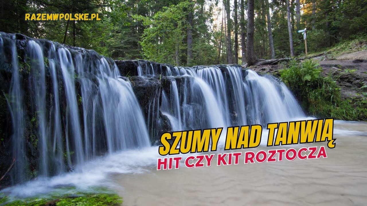 Rezerwat Szumy nad Tanwią. Najpiękniejsze miejsce na Roztoczu? Czy warto tam się wybrać?