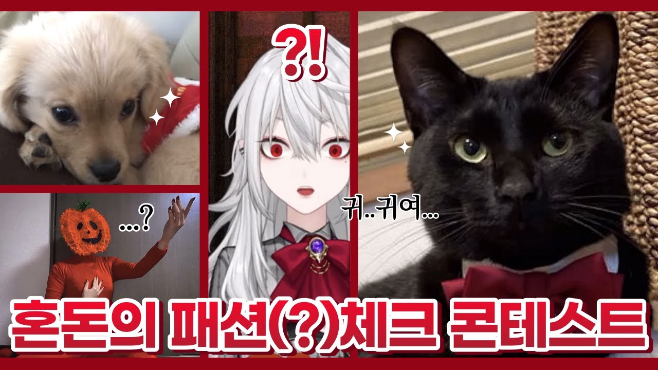 애견 콘테스트에 침식당한 사냐의 패션체크 콘테스트【쿠즈하/사냐】