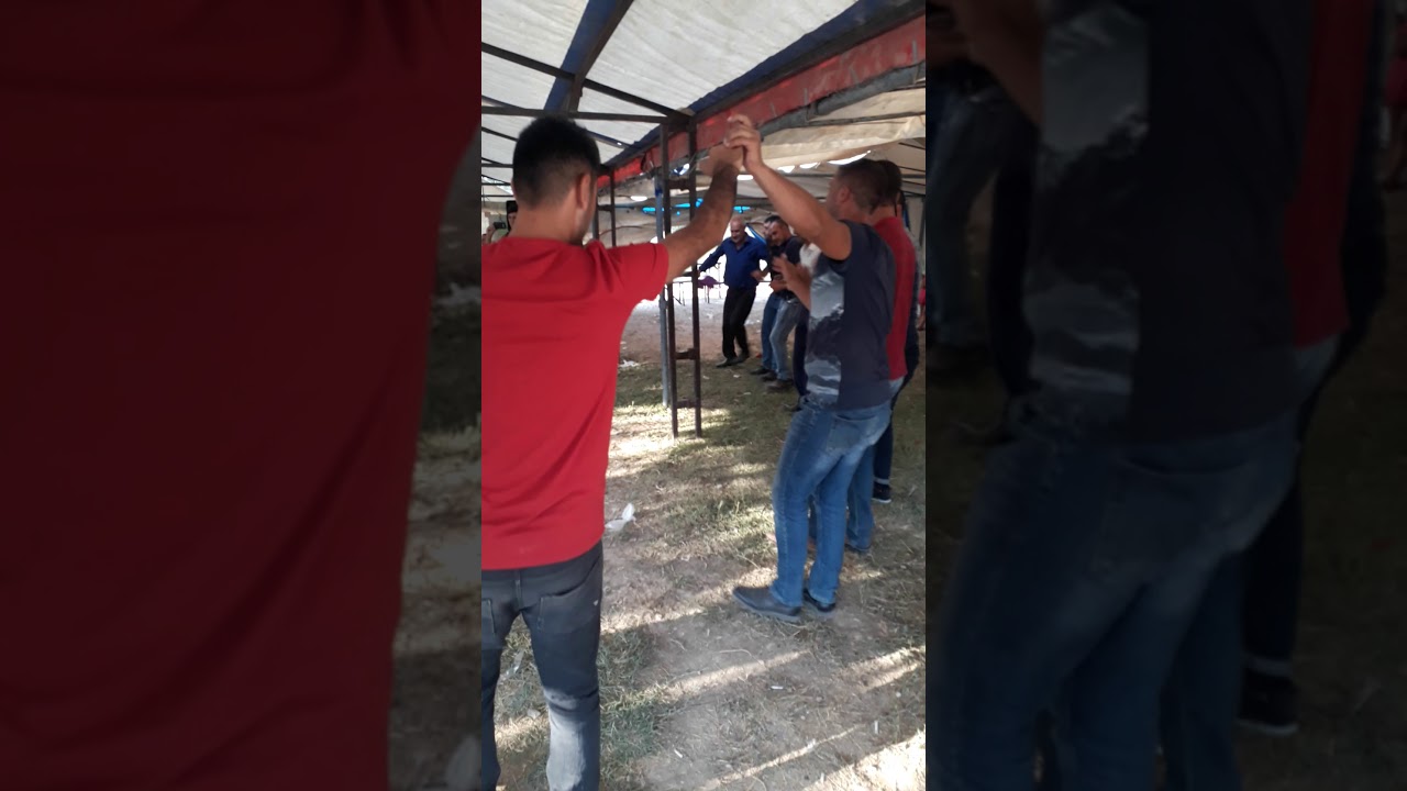 Şerur Oguz kent palatka toyu 2019😊