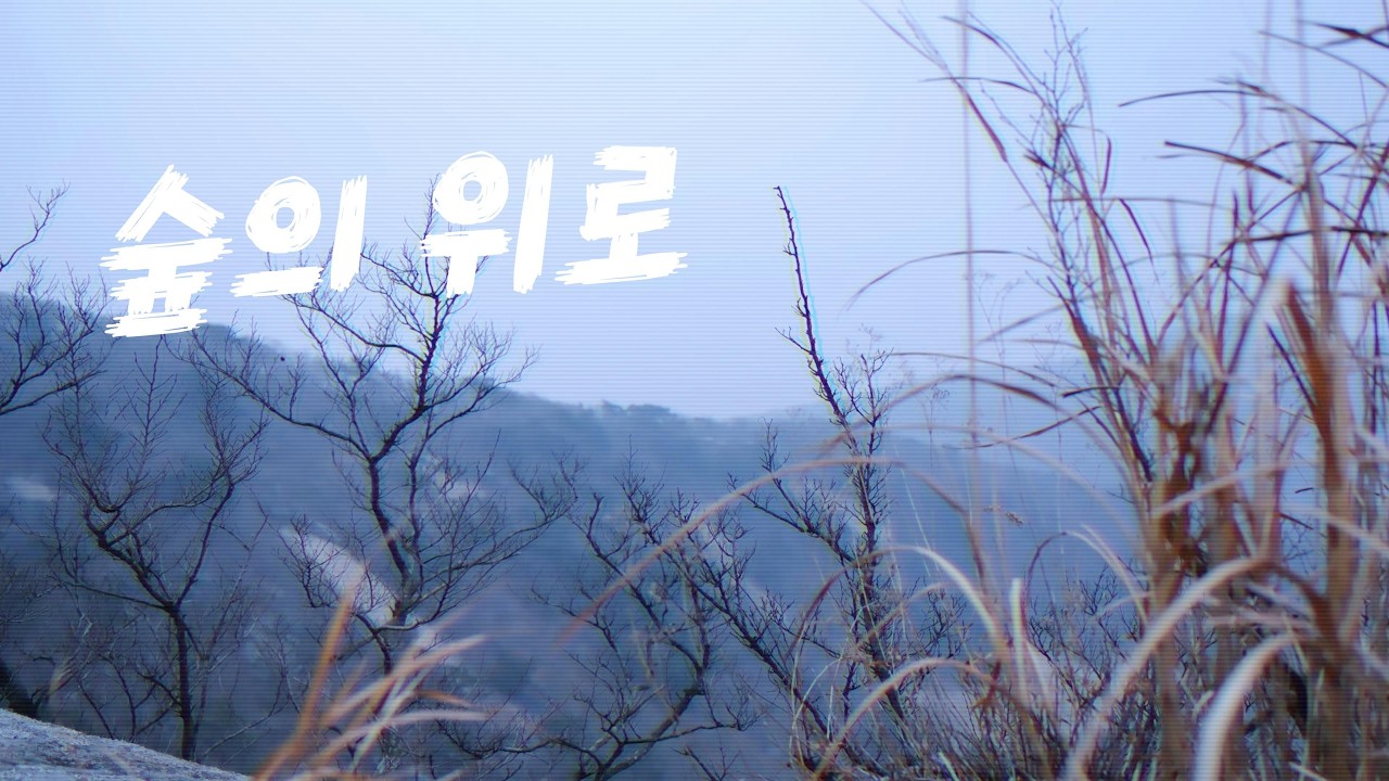 아무도 없는 숲속, 나만의 하룻밤[해명산,석모도,낙가산,백패킹]