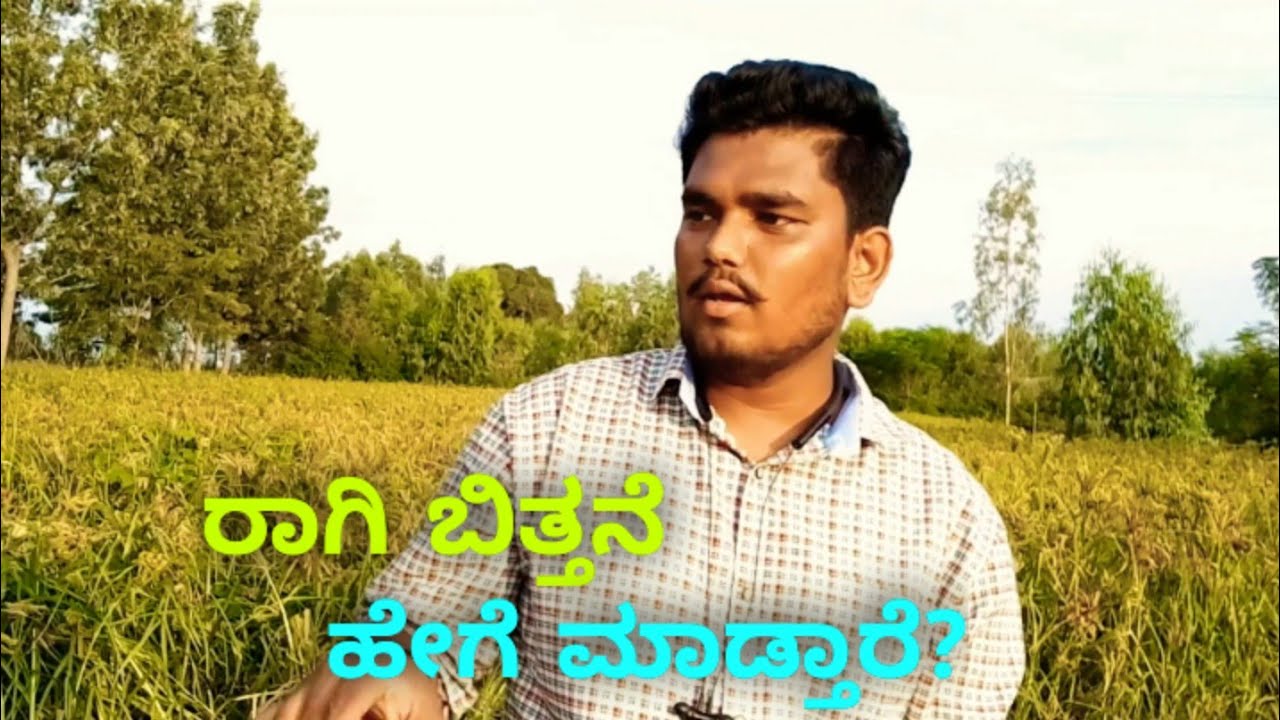 How Ragi Farming is Done?||ರಾಗಿ ಬಿತ್ತನೆ ಹೇಗೆ ಮಾಡ್ತಾರೆ? #SKVLOGKANNADA