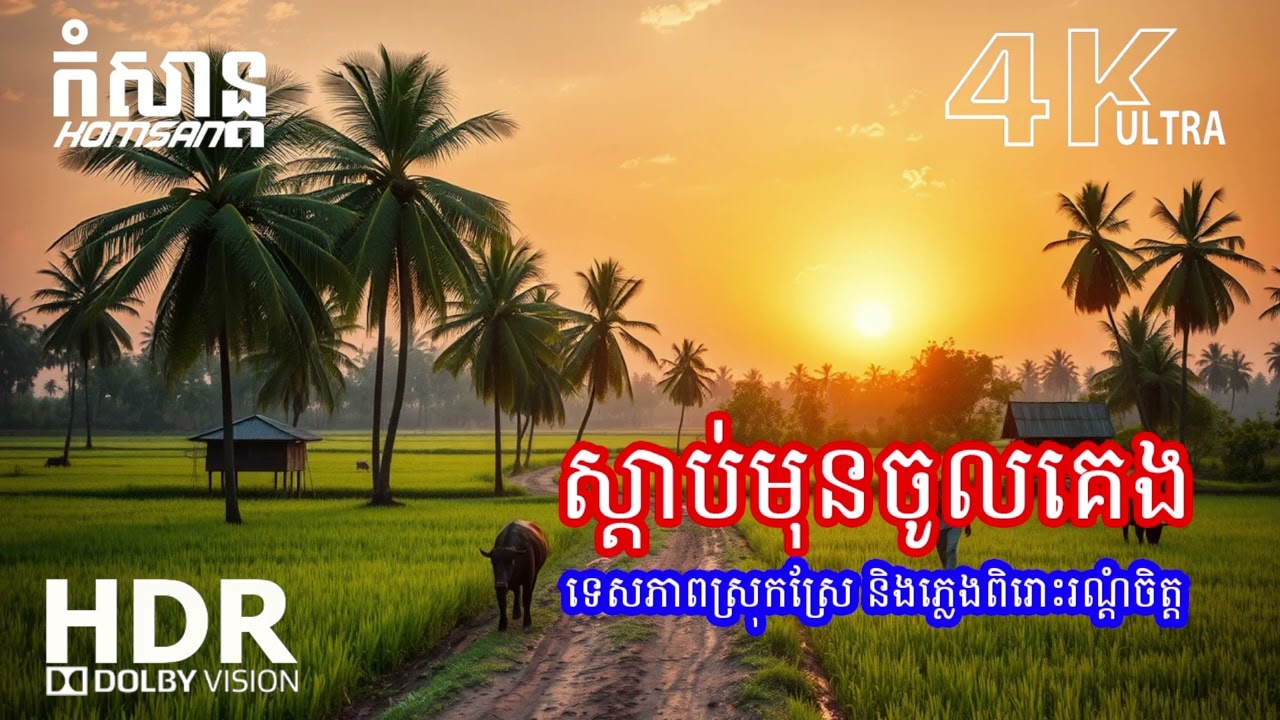 🎶 ភ្លេងរាត្រីស្ងប់ស្ងាត់ 2026  បន្ធូរអារម្មណ៍ & ដេកលក់ស្រួល