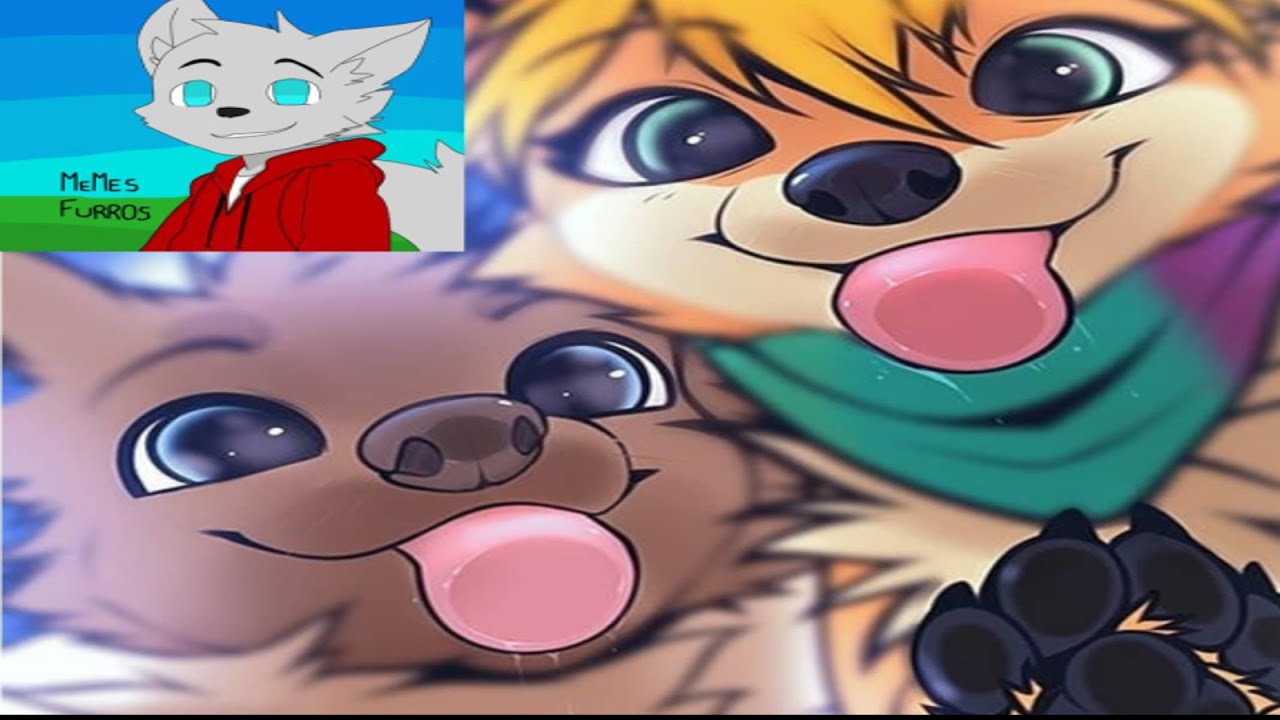 Memes Furry #22