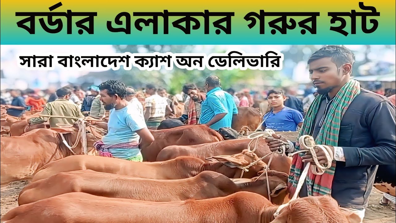 বর্ডার এলাকার গরুর হাট #ভাইরাল #গরুর_হাট #বাংলাদেশ #বকনা #justlookinglikeawow #viral 