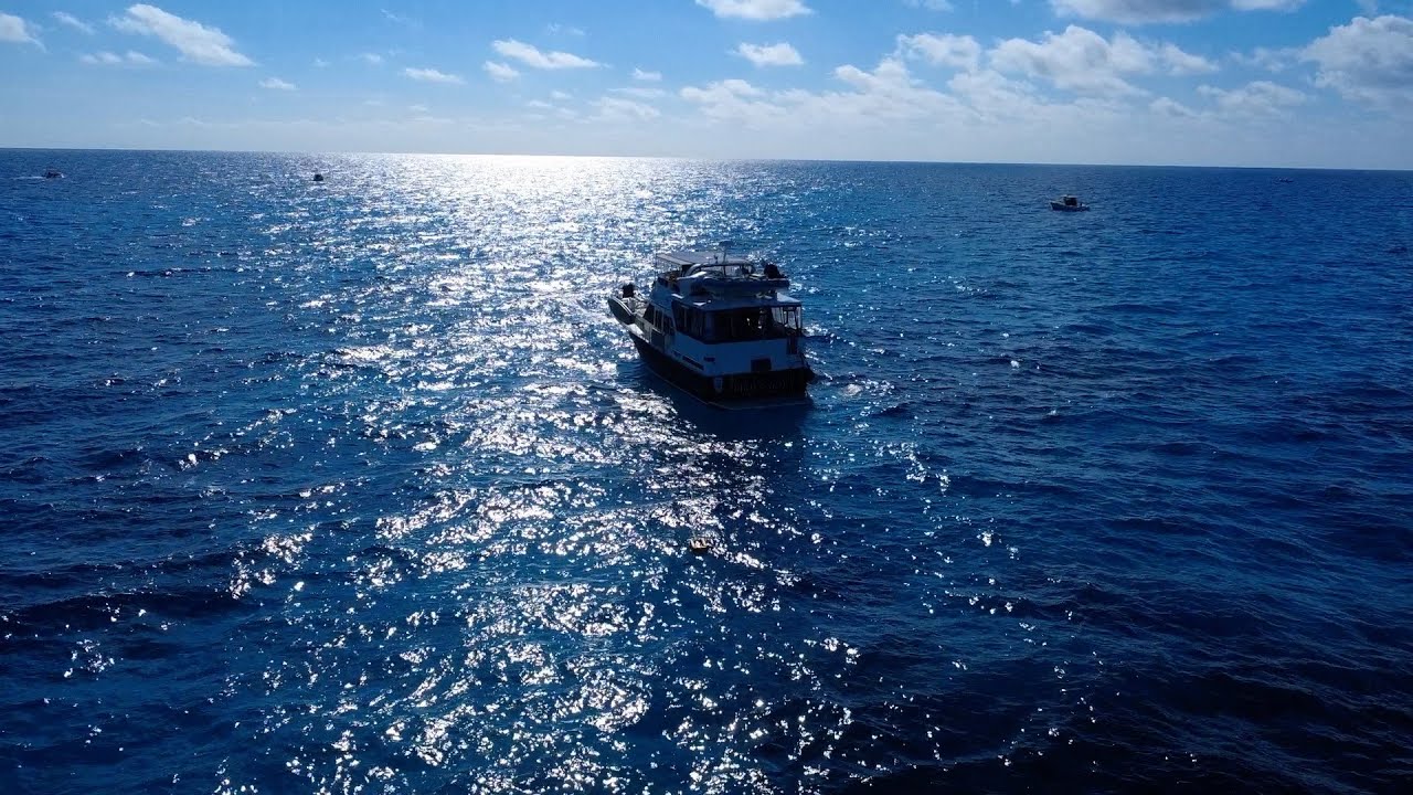 DEC 31, 2024 - Bahia Honda to Looe Key and back